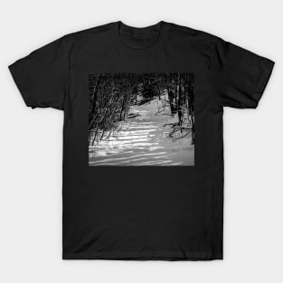 The path in black and white T-Shirt